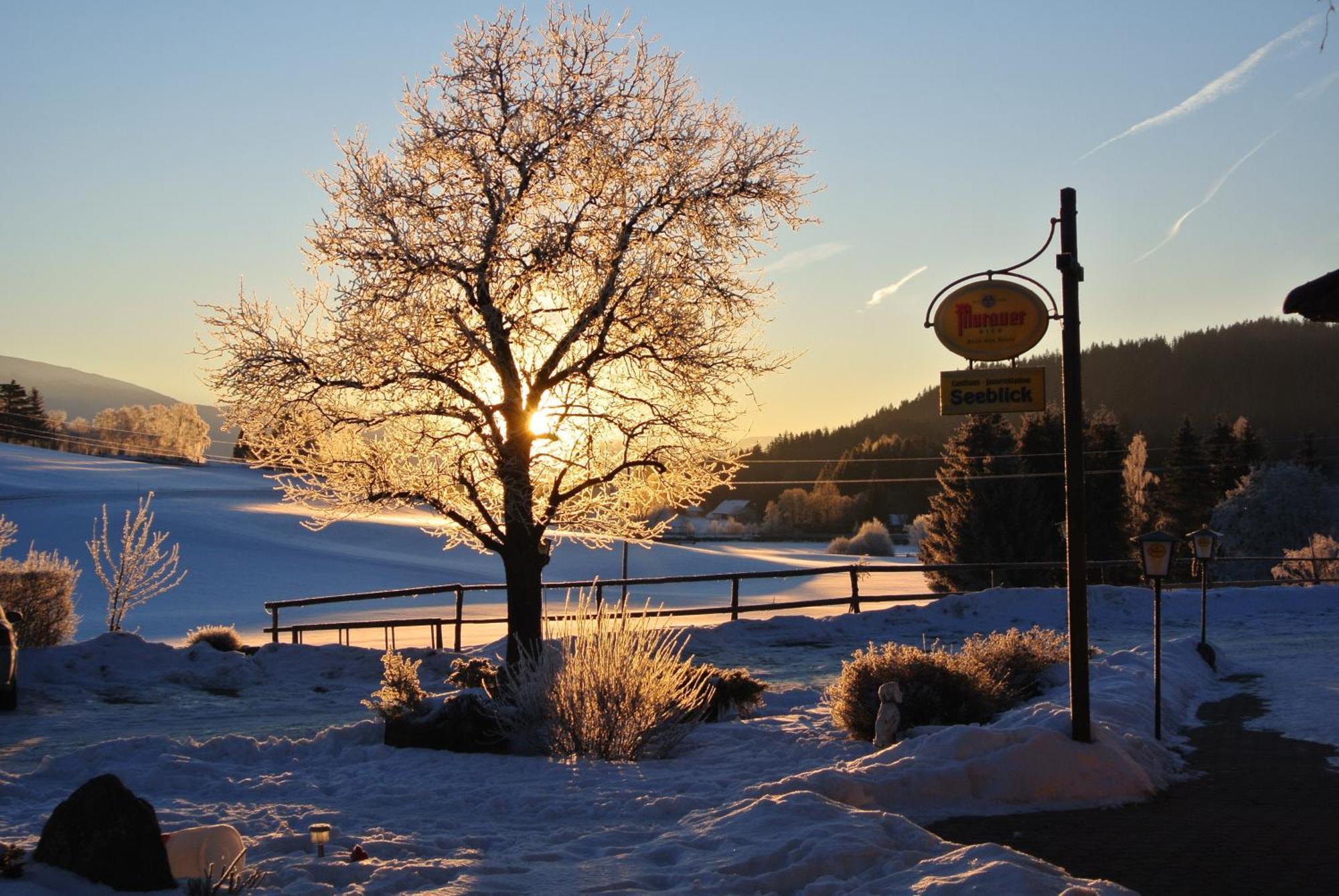 Hotel Gasthof Seeblick Zeutschach Exteriér fotografie
